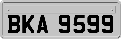 BKA9599