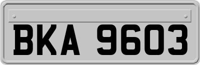 BKA9603