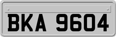 BKA9604