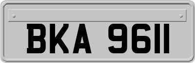 BKA9611