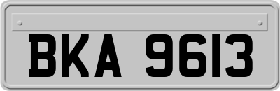 BKA9613
