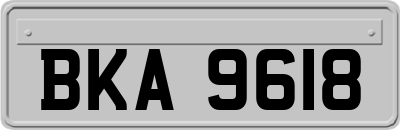 BKA9618