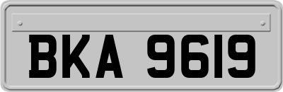 BKA9619