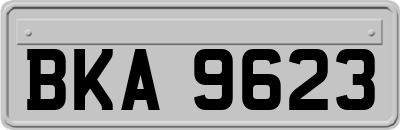 BKA9623