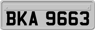 BKA9663