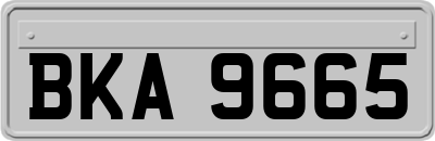 BKA9665