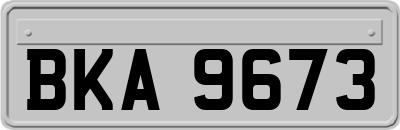 BKA9673