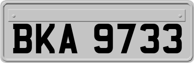 BKA9733