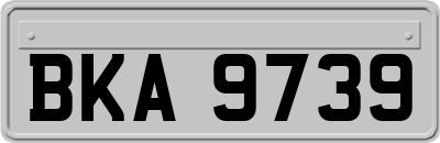 BKA9739