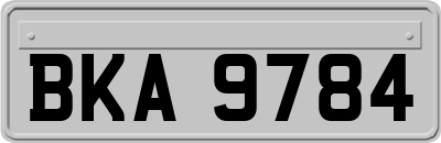 BKA9784