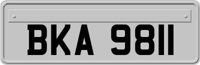 BKA9811