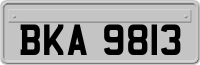 BKA9813