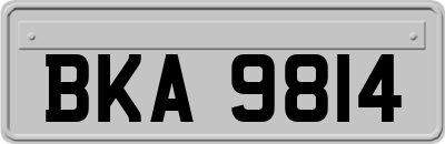 BKA9814