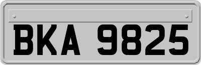 BKA9825