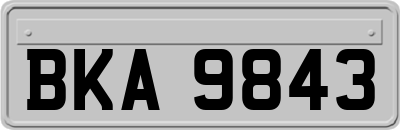 BKA9843