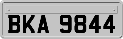 BKA9844