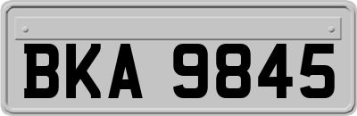 BKA9845