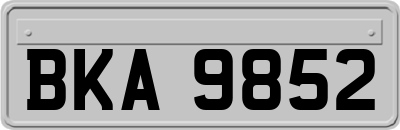 BKA9852