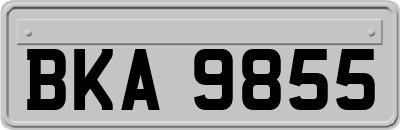 BKA9855