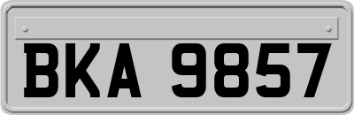 BKA9857