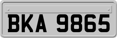 BKA9865