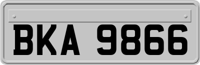 BKA9866