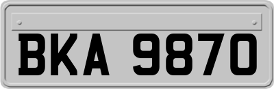 BKA9870