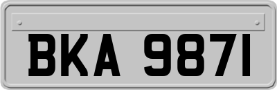 BKA9871
