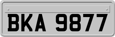 BKA9877