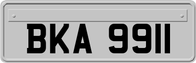 BKA9911