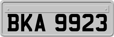 BKA9923