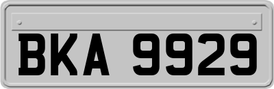 BKA9929