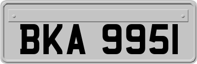 BKA9951