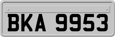BKA9953