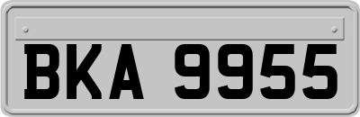 BKA9955