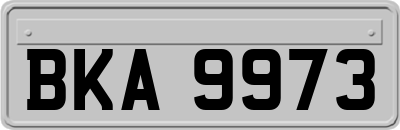 BKA9973