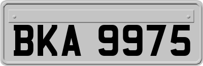 BKA9975