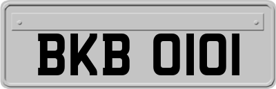 BKB0101