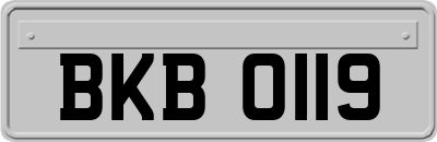 BKB0119