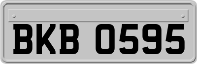 BKB0595