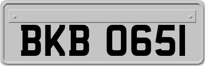 BKB0651