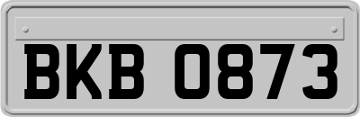 BKB0873