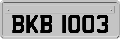 BKB1003