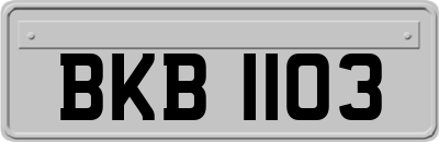 BKB1103