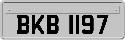 BKB1197