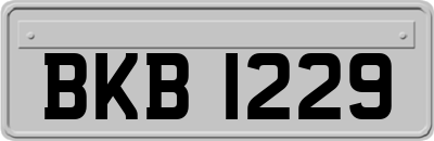 BKB1229