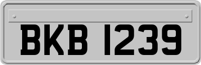 BKB1239