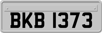 BKB1373