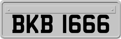 BKB1666