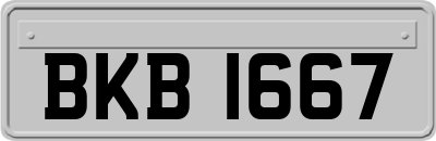 BKB1667